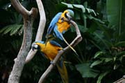 IMG_2667