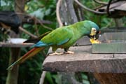 IMG_2696