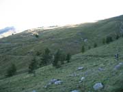 IMG_0080