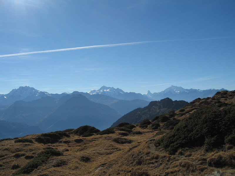 12.Breitbode