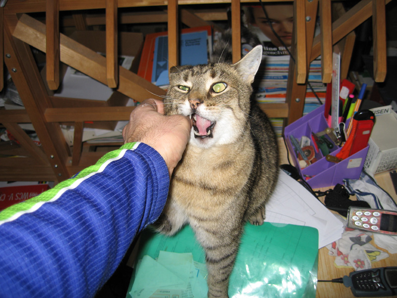Tigerli