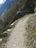 Wallis
