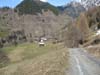 Wallis