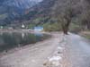 Wallis